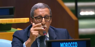 L’ambassadeur Omar Hilale : « L’Algérie est la mère de tous les problèmes du Sahel et du Sahara »